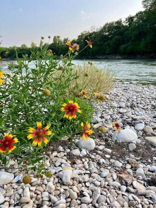 The River Haven - Sleeps 32 - On Guadalupe River 세강 외부 사진